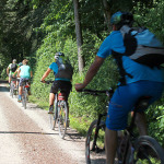Leute auf einer Radtour auf einem Waldweg.