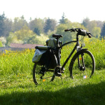 Ein Fahrrad auf einer Frühlingswiese