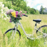 Fahrrad