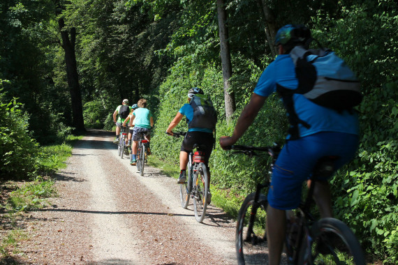 Radfahrer fahren hintereinander auf einem Waldweg.