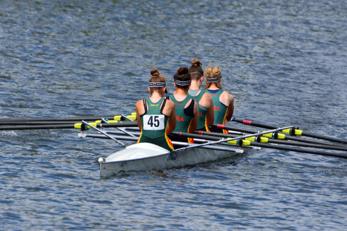 Damen rudern bei einem Wettbewerb im Vierer.