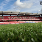 Rasen im Max-Morlock-Stadion.