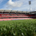 Rasen im Max-Morlock-Stadion.
