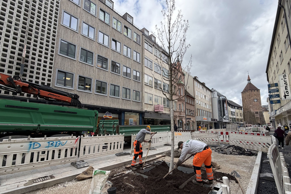 Bild © Stadt Nürnberg April 2026: Baumpflanzungen in der Breiten Gasse., Bild © Stadt Nürnberg