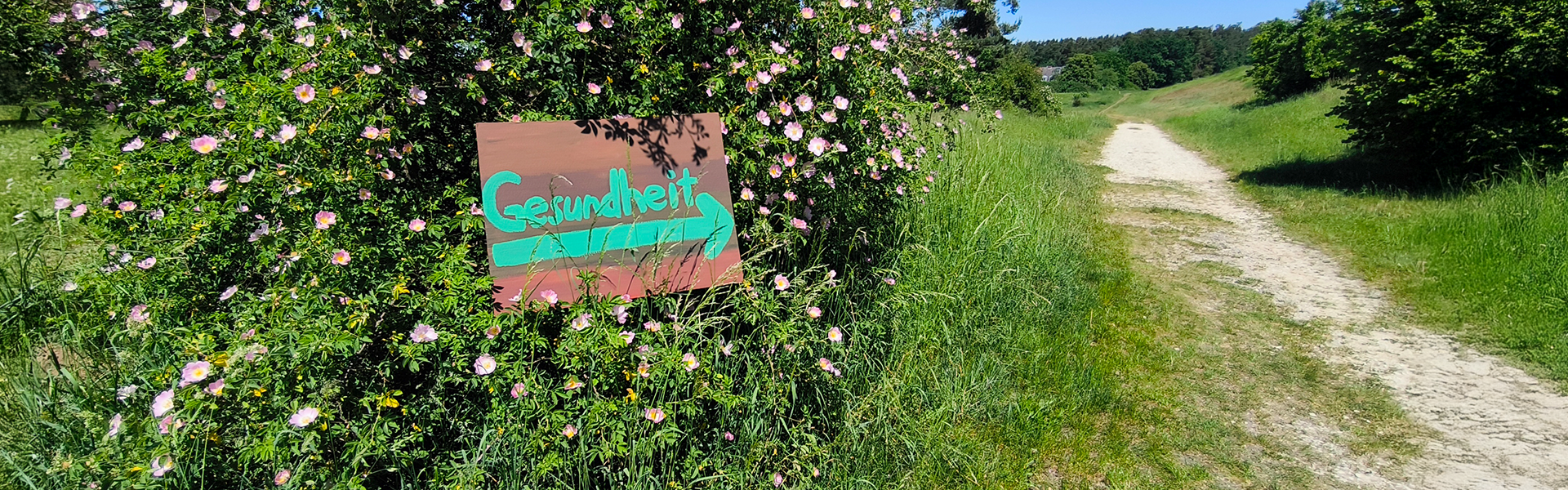 Schild Gesundheit auf einem Feldweg in der Natur