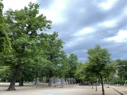 Das Foto zeigt einen Park mit mehreren Bäumen. Rechts im Bild sind Teile von einem Spielplatz zu sehen.