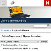 Eingabemaske der Online-Dienste Nürnberg