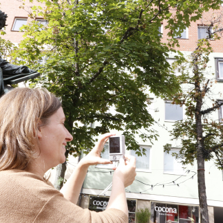 Besonders der zur Theresienstraße ausgerichtete Baum macht mit seinen kahlen Ästen und braunen Blättern einen bemitleidenswerten Eindruck. 