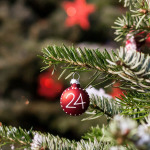Christbaumkugel mit einer 24 darauf an einem Weihnachtsbaum.