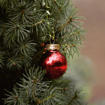 Eine Christbaumkugel hängt an einem Zweig.