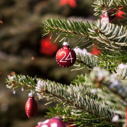 Kugeln an einem Weihnachtsbaum © IppikiOokami / pixabay.com