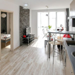 Innenasicht von Küche und Wohnraum.